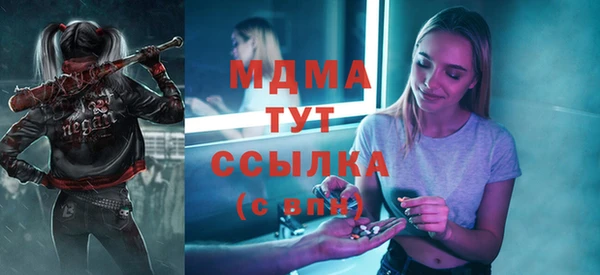 шишки Абаза