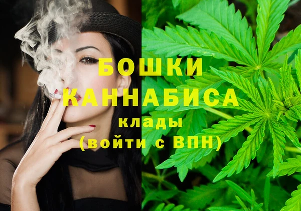 шишки Абаза