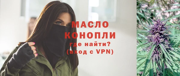 шишки Абаза