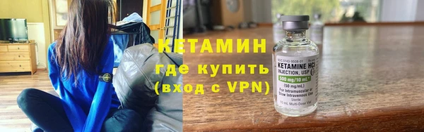 шишки Абаза