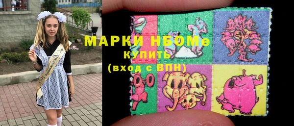 шишки Абаза