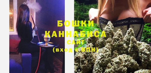шишки Абаза