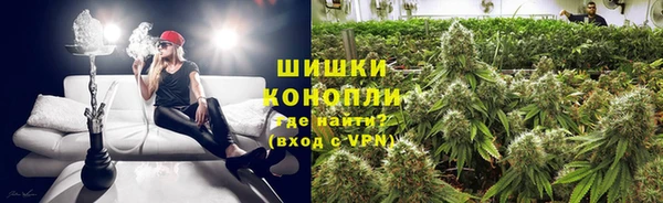 сатива Абдулино
