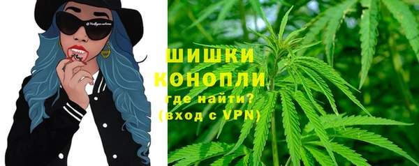 сатива Абдулино