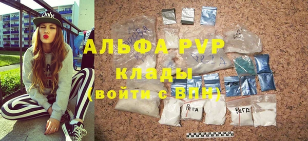 шишки Абаза